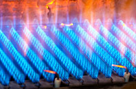 Littlester gas fired boilers